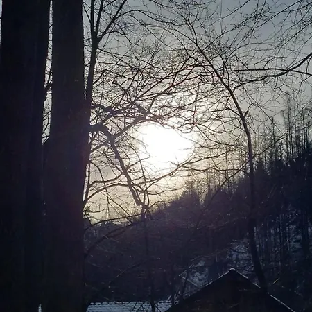 Harz Waldhaus Hotel *