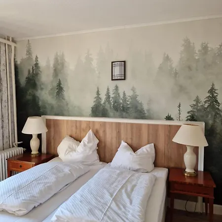 Hotel Harz Waldhaus *