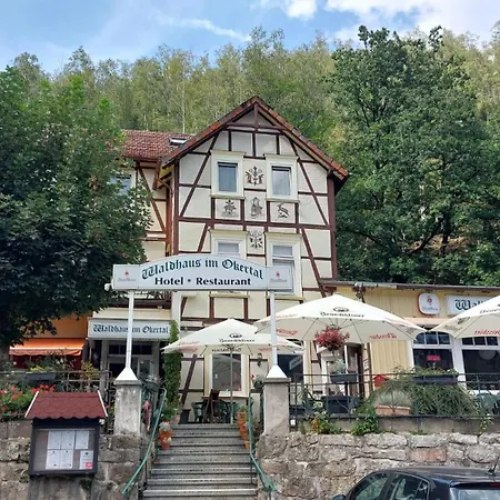 Harz Waldhaus Hotel Goslar